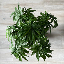 Load image into Gallery viewer, Sugavision's SugaModula 5 Units top view in vase. sugavision cannabis prop fake cannabis faux marijuana artificial hemp plant