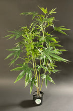 Load image into Gallery viewer, A wide shot of a 90cm 3ft tall SugaBushy pre-flowering faux cannabis plant with 4 main stems covered in lush leafy vegetation.