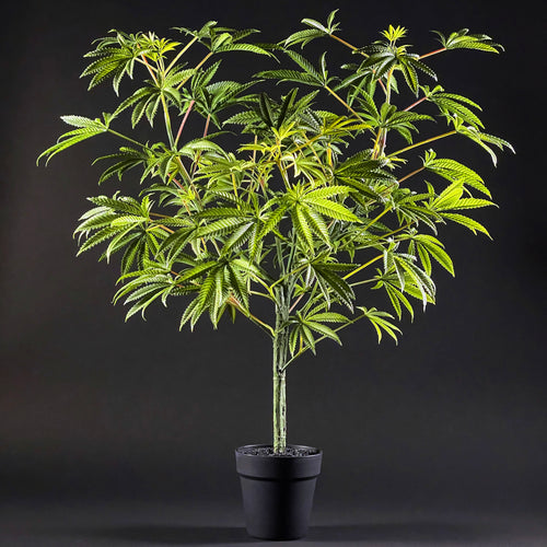Sugavision's SugaLush tree key image front view. sugavision cannabis prop fake cannabis faux marijuana artificial hemp plant