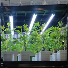 Load image into Gallery viewer, SugaStar plants in a row on Idrolab vertical grow rack system at the CD Show London sugavision cannabis prop fake cannabis faux marijuana artificial hemp plant.
