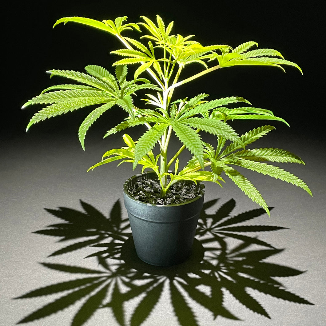 SugaCute 10inch/25cm Faux Cannabis Hemp Replica Plant in Pot