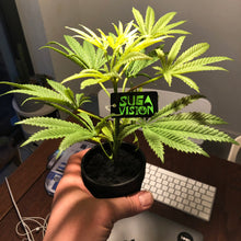 Load image into Gallery viewer, SugaCute 10inch/25cm Faux Cannabis Hemp Replica Plant in Pot
